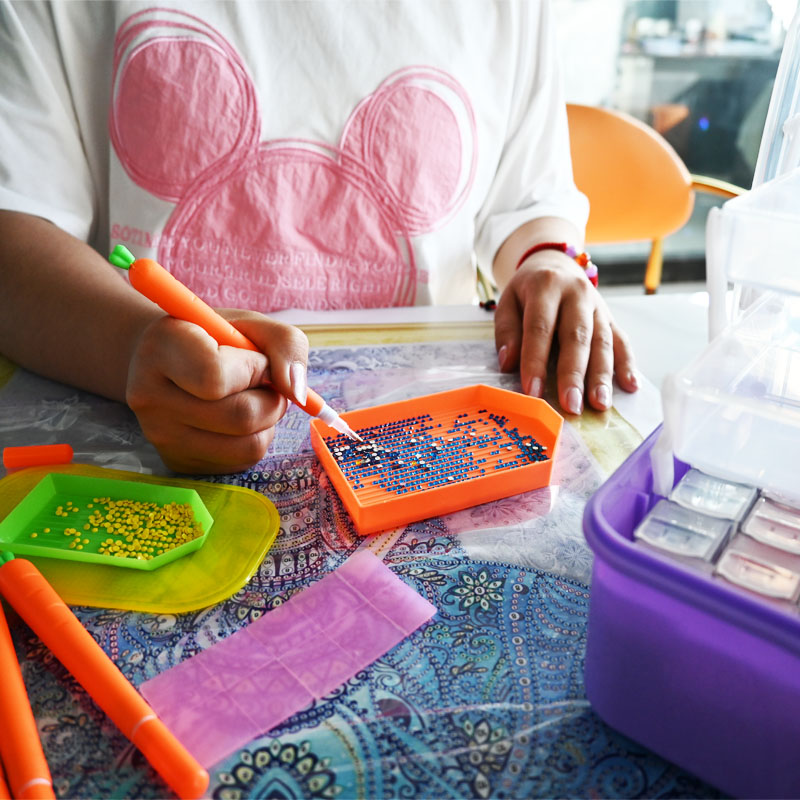 Diamond Embroidery Tools Carro - Embroidery Handicraft 评论和价格