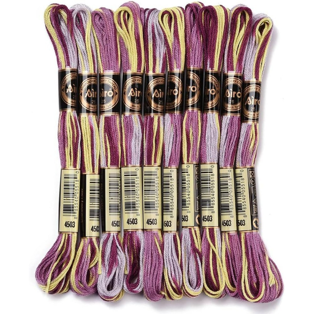 6 Strands Purple Variegated Em - Embroidery Thread 评论和价格