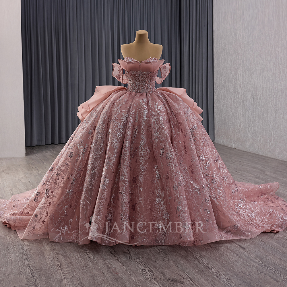Glittering Pink Ball Gown Quin - Embroidery Organza 评论和价格