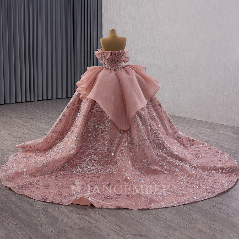 Glittering Pink Ball Gown Quin - Embroidery Organza 评论和价格