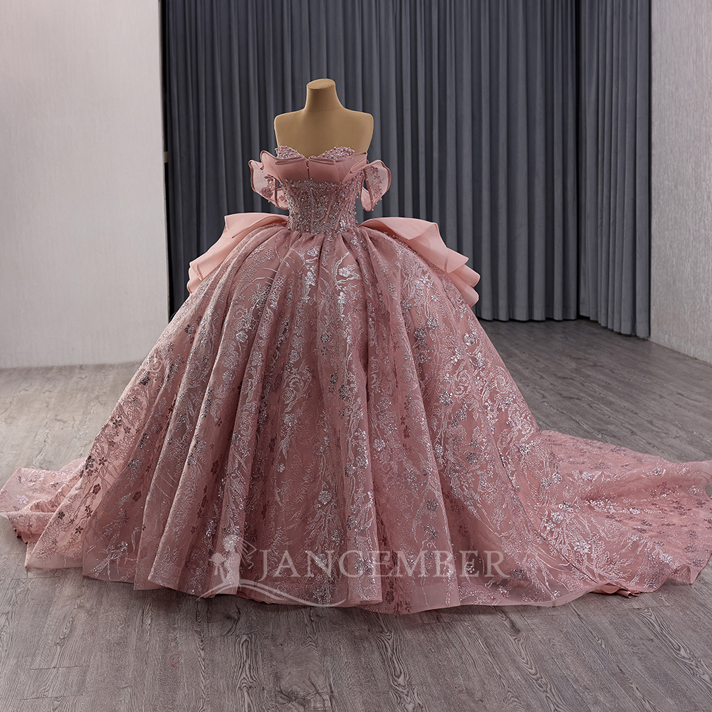 Glittering Pink Ball Gown Quin - Embroidery Organza 评论和价格