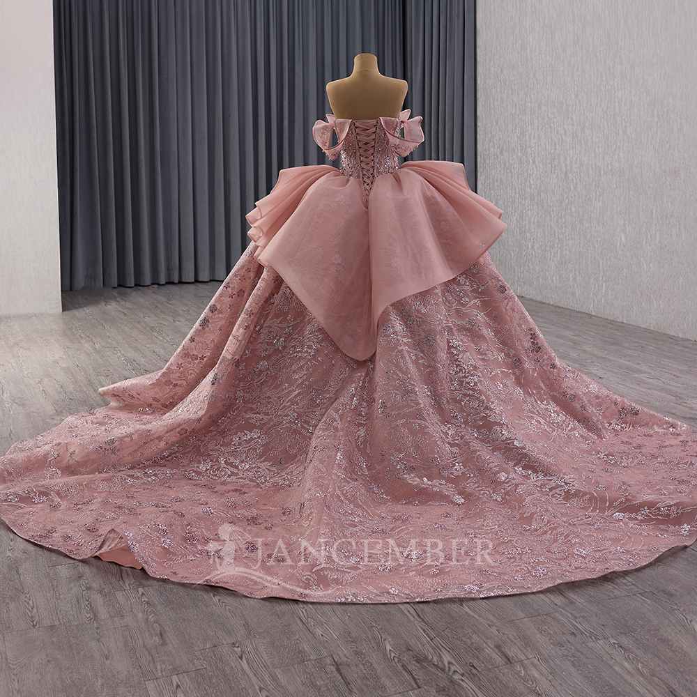 Glittering Pink Ball Gown Quin - Embroidery Organza 评论和价格