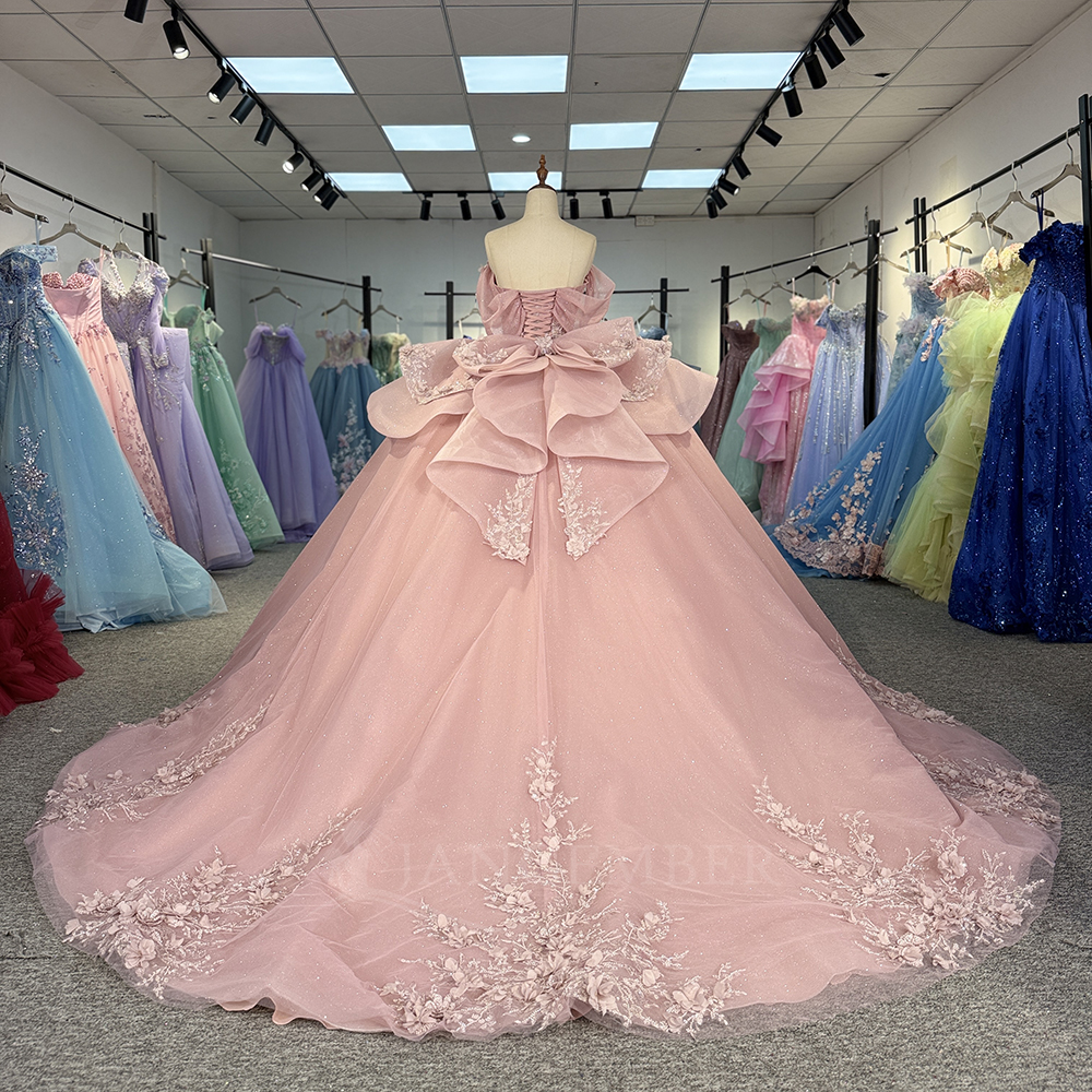 Pink Princess Ball Gown Quince - Embroidery Organza 评论和价格