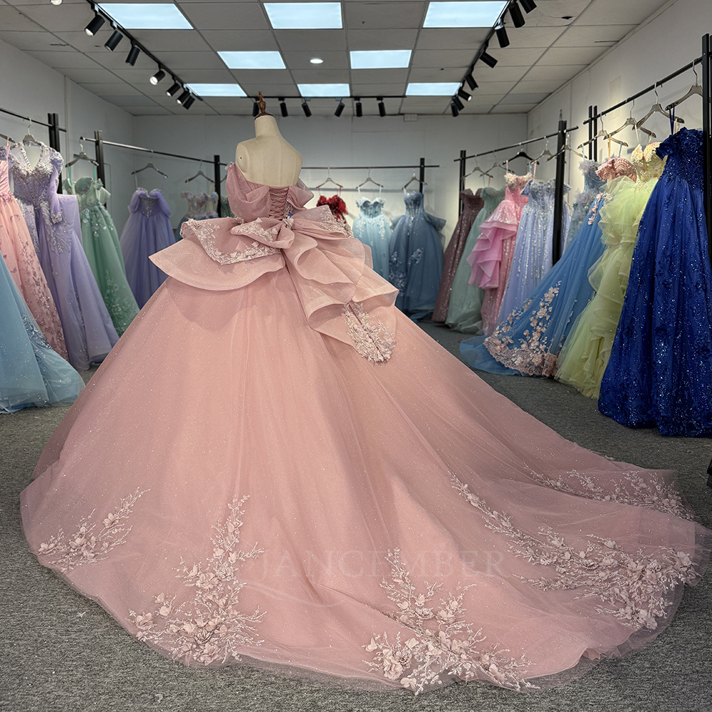 Pink Princess Ball Gown Quince - Embroidery Organza 评论和价格
