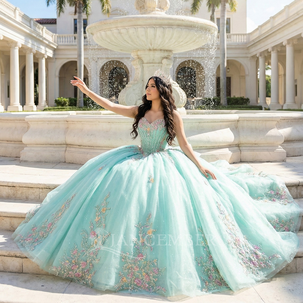 Classic Strapless Quinceanera  - Embroidery Organza 评论和价格