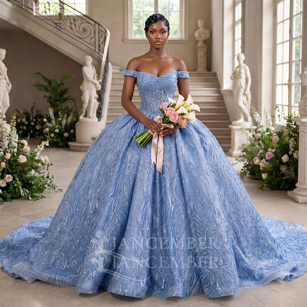 Customized Blue Quinceanera Dr - Embroidery Organza 评论和价格